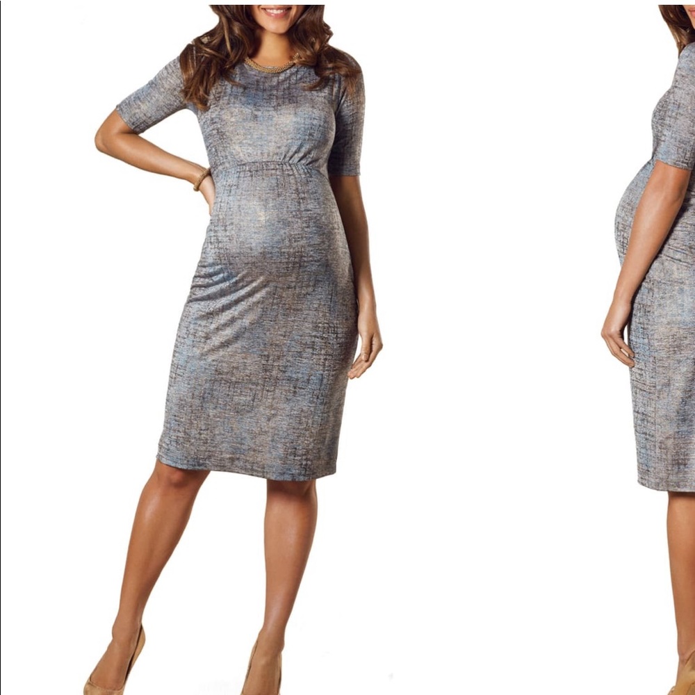 Tiffany Rose: Anna Maternity Shift Dress (M)